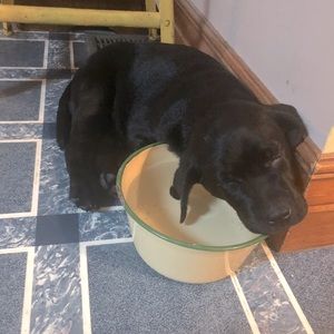 Meet your Posher, Rebecca